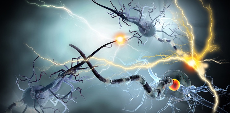 multiple sclerosis genmab geneuro