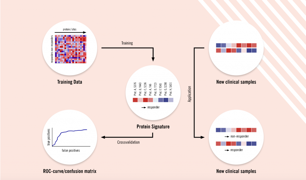 Discovery of proteomics signatures, biomarker discovery, Evotec