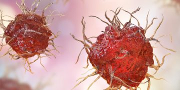 dendritic cells, innate immune system, innate immunity, immuno-oncology, immunology
