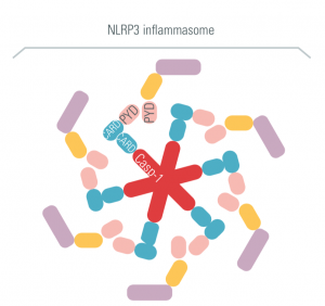 inflammasomes, innate immunity, therapeutic strategies, cisbio copyright