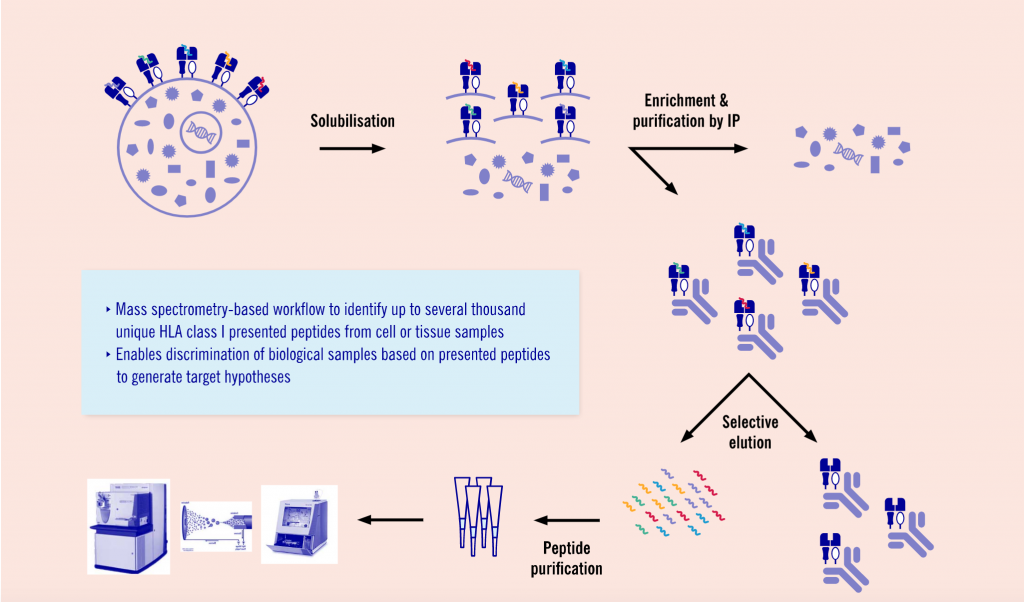 MHC Class I Peptidomics, drug discovery, evotec