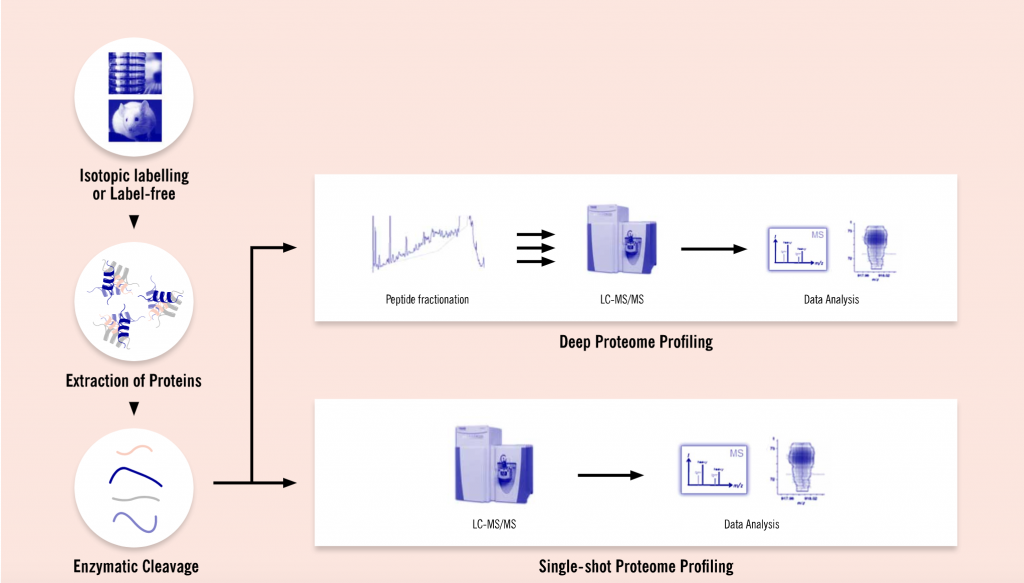 Evotec, Proteome analysis workflow