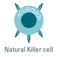 cisbio copyright, natural killer cell, innate immune cells