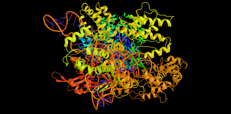 CRISPR structure