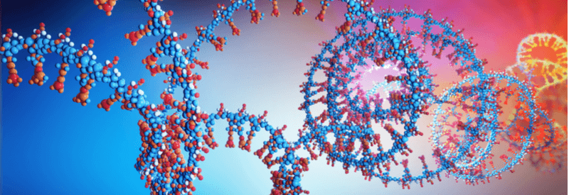 RNA, base editors, mRNA, gene editing, proteome