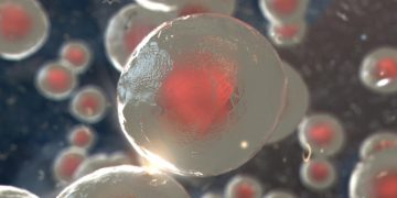bone marrow transplant blood cancer kiadis pharma cell therapy