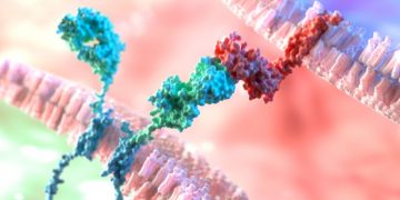 car-t therapy cancer cellectis