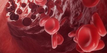 crispr therapeutics vertex beta thalassemia