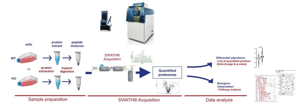 PIPPR platform, workflow, SWATH acquisition, COBO Technologies, SCIEX, proteome