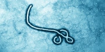 ebola vaccine merck janssen