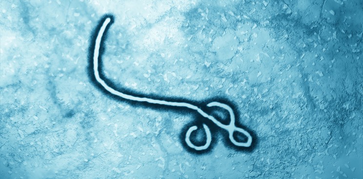 ebola vaccine merck janssen