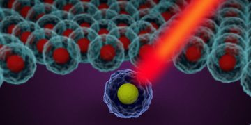 single-cell analysis, single-cell sequencing, proteogenomics