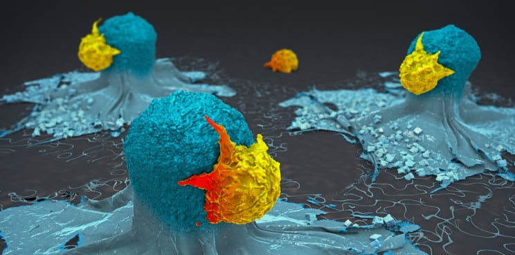 cancer immunotherapy autoimmune disease