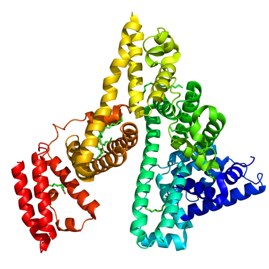 human serum albumin, molecular structure