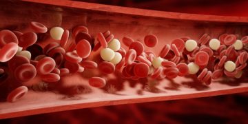 zynteglo gene therapy bluebird bio