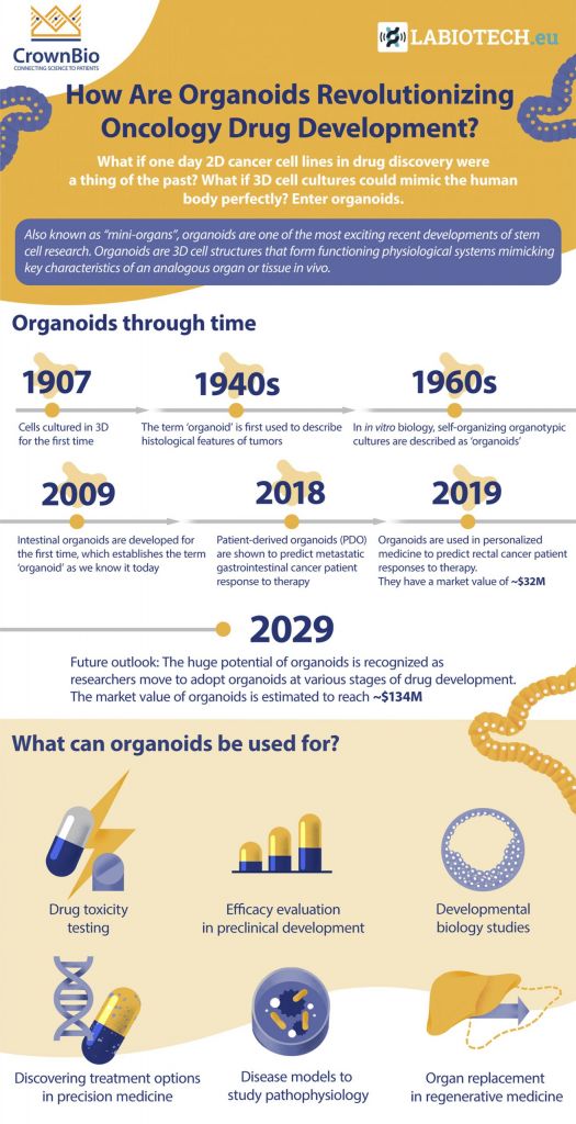 organoids, tumor organoids, cancer research