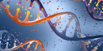 DNA, double helix, genes