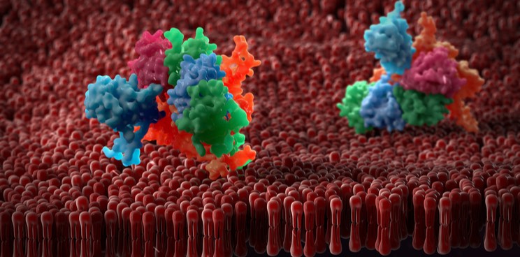 OMass Therapeutics GPCR