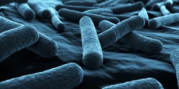 antibiotic resistance southampton e coli