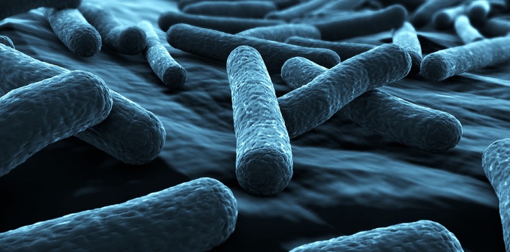 antibiotic resistance southampton e coli