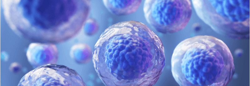 cell therapy, cells, stem cells