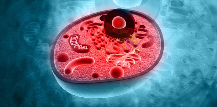 lysosomal storage disorders azafaros rare disease