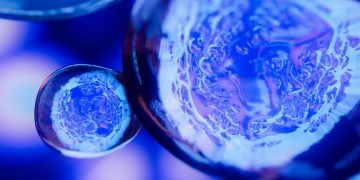 scipio bioscience single-cell sequencing