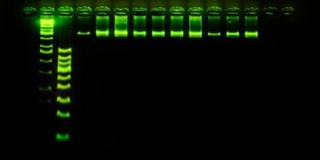 stilla technologies pcr molecular diagnostics