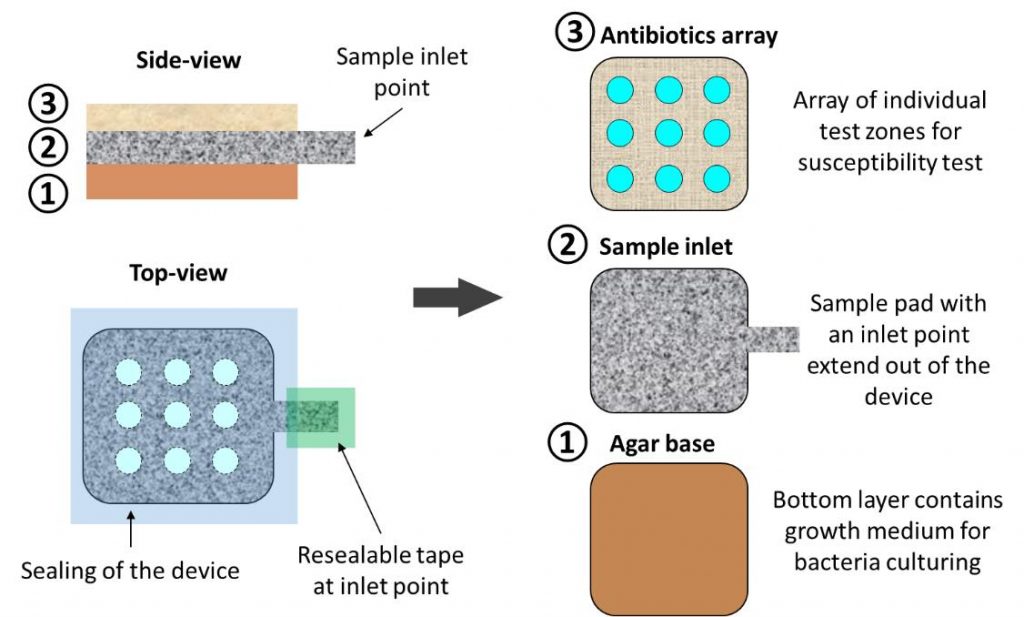 uniSouthampton antibioticTest antibiotic resistance