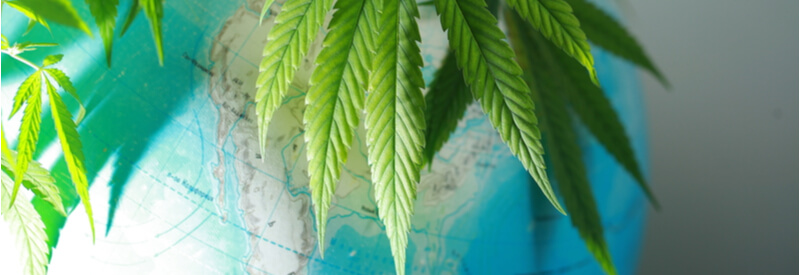 world, globe, medical cannabis