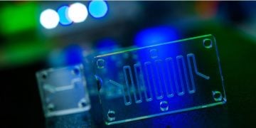 CN Bio - organ on a chip