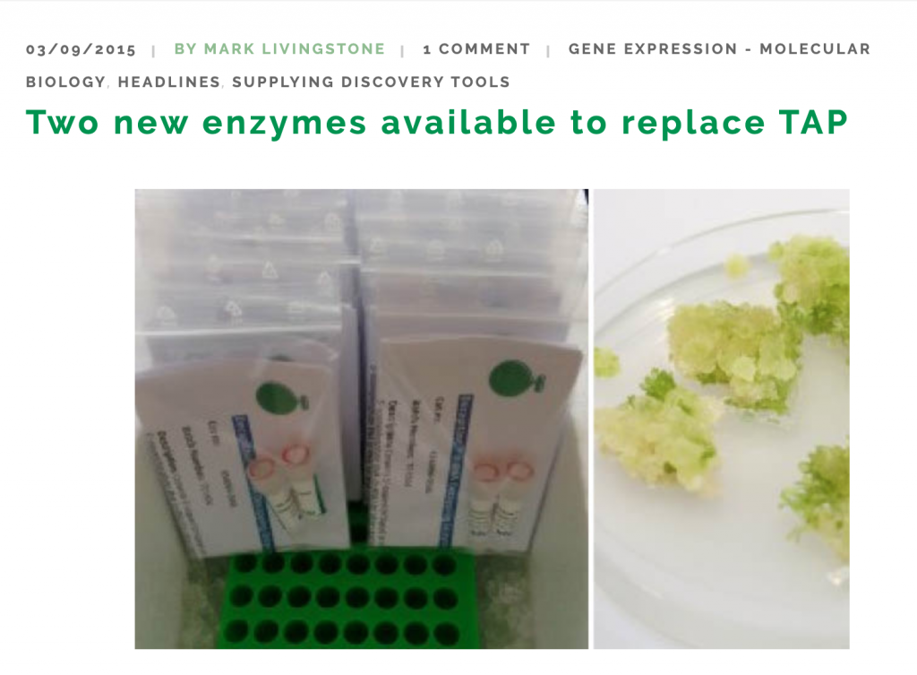 enzymes, tebu-bio blog