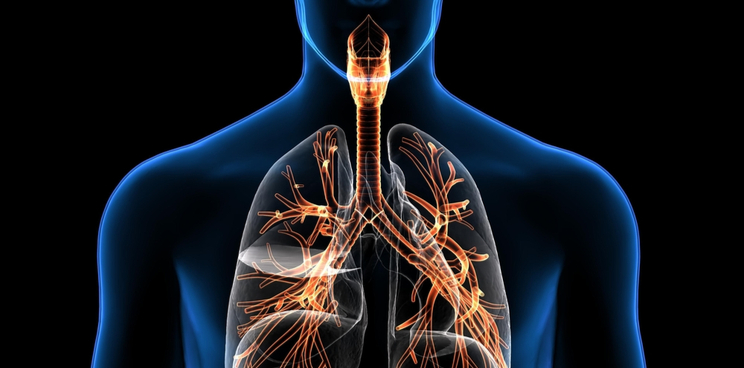 coronavirus COVID 19 Europe biotech lungs