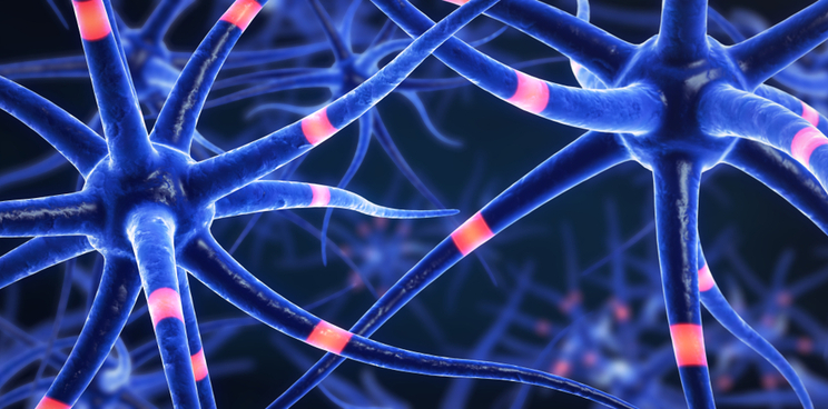 multiple sclerosis neuron sheath medday Pharma