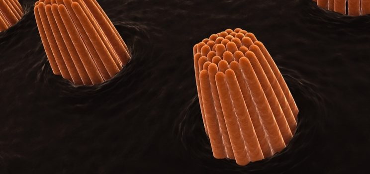 sensorion hearing loss coronavirus