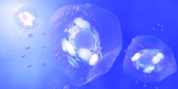 takeda evox therapeutics