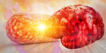 lnc therapeutics brain microbiome