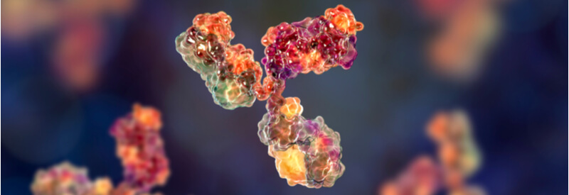 antibodies, monoclonal antibody
