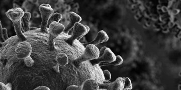covid-19 coronavirus vaccine