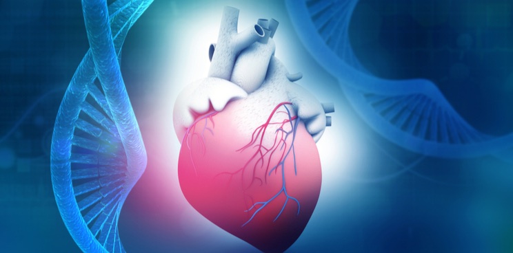 gene therapy cardiac rare disease biomarin dinaqor