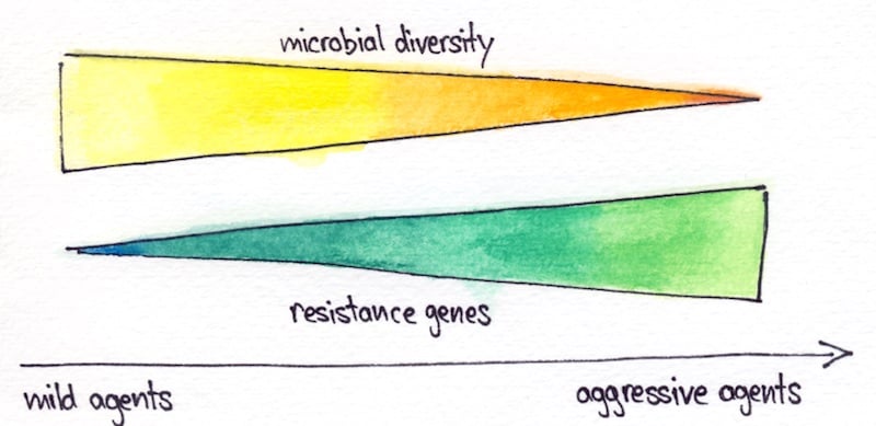 Cleaning and disinfection microbial diversity