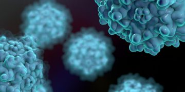 AAVs, gene therapy, viral vectors