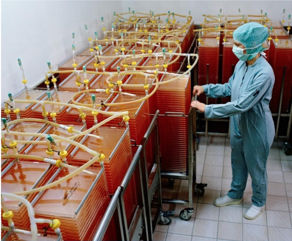 AAV production, adherently growing cells