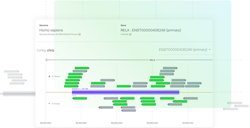 Synthego CRISPR knockouts