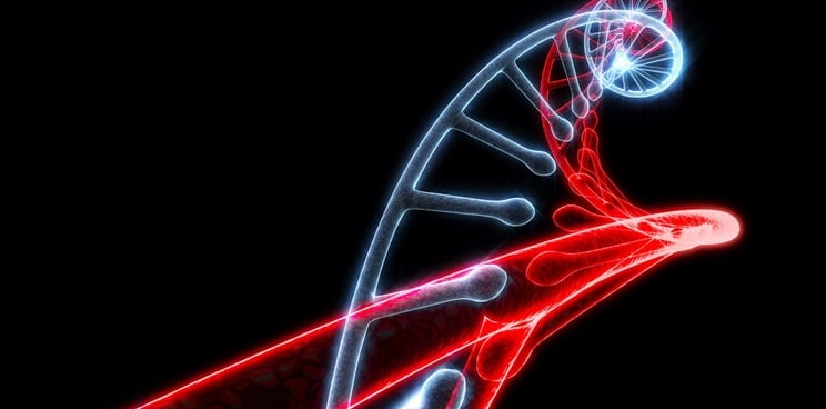 rna biontech pfizer covid 19