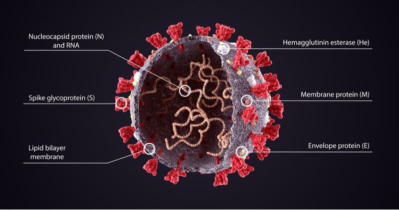 sars cov 2 covid 19 vaccine