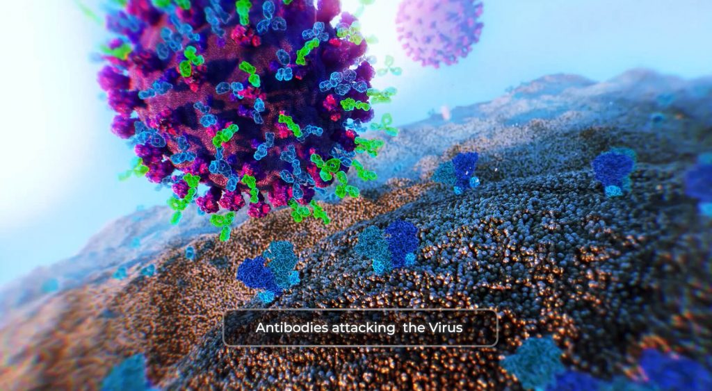 covid-19, virus, antibodies