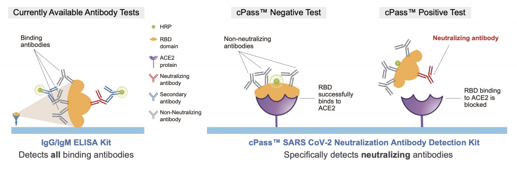 antibody, detection kit, cpass, GenScript, covid-19