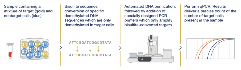 immune cell monitoring, immune cell, Epiontis, Precision for Medicine