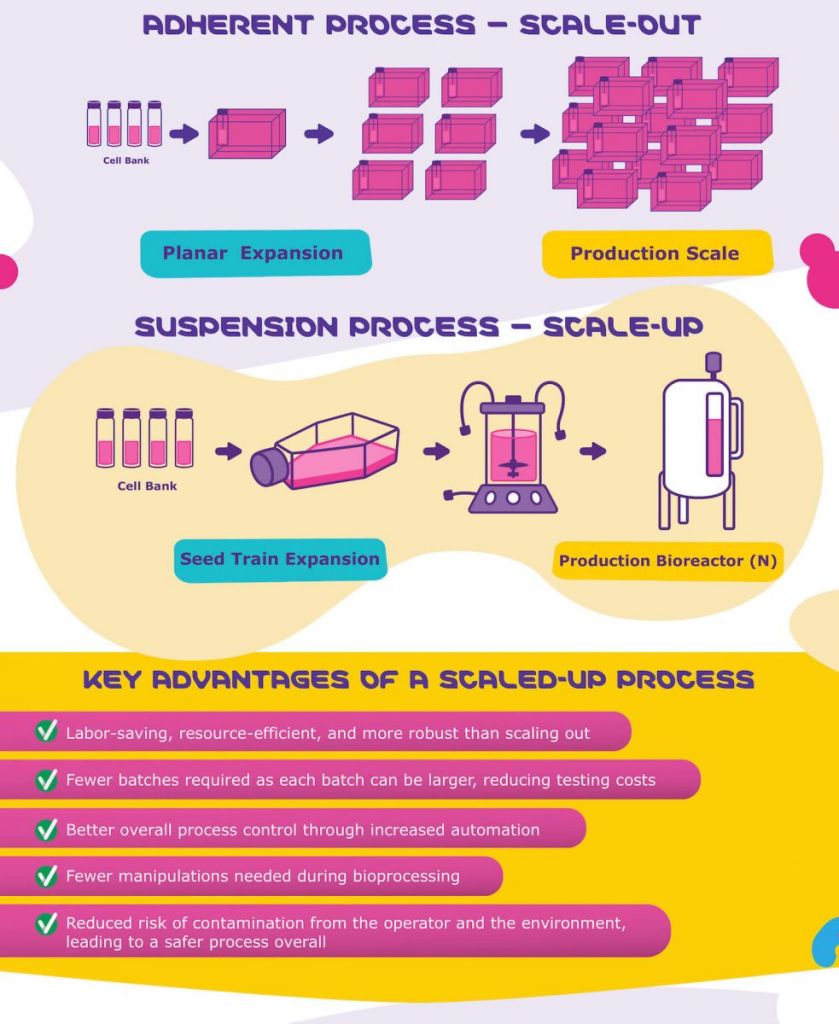 upscaling, viral vectors, viral vector production